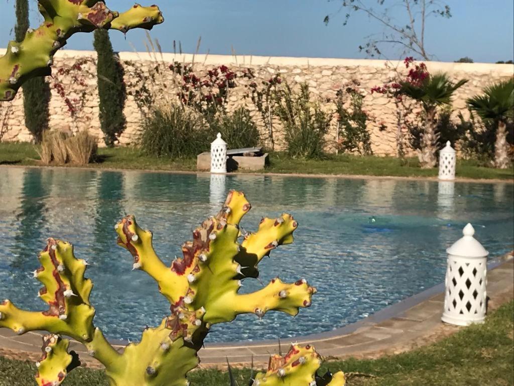 La Maison D'Helene Essaouira Al Ghar المظهر الخارجي الصورة